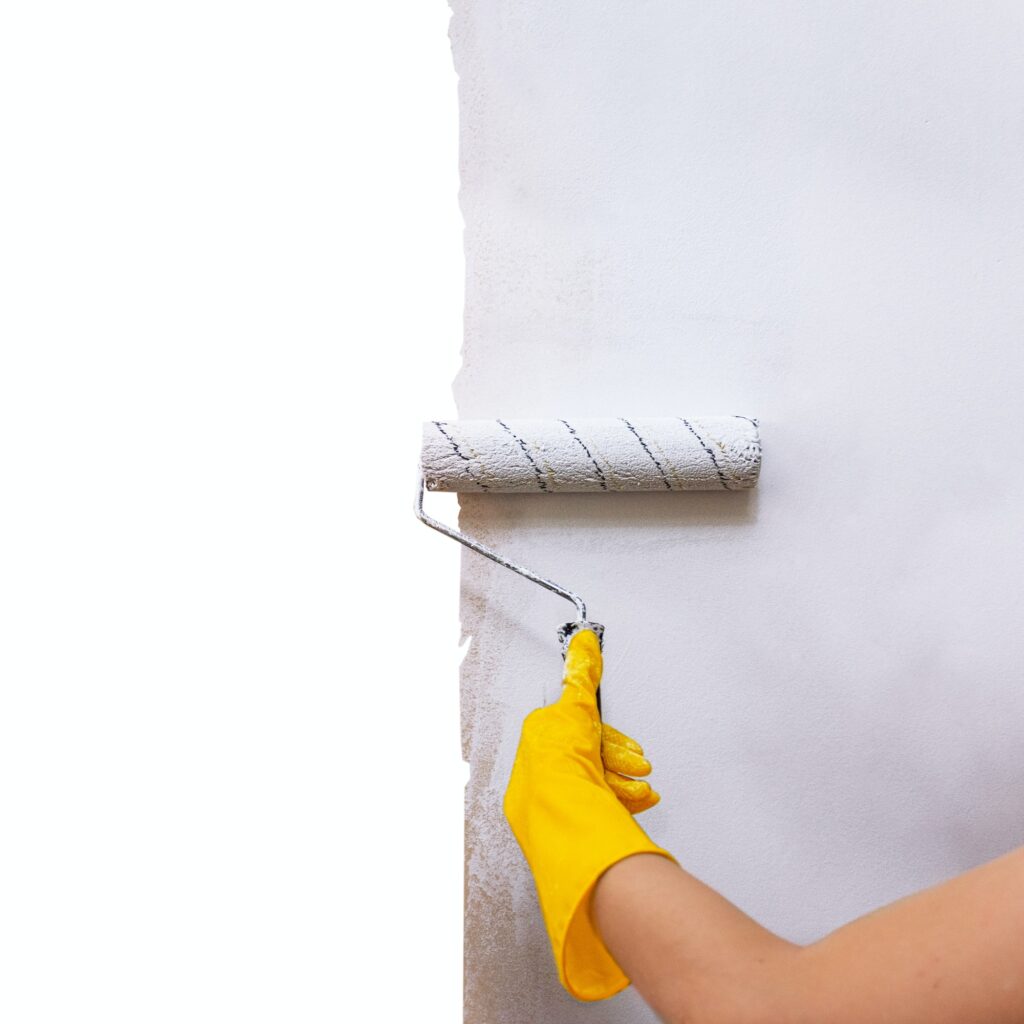 painting the walls with a roller, home repairs, renovation, white background